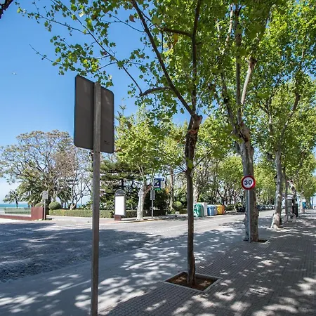 Apartament La Araucaria -