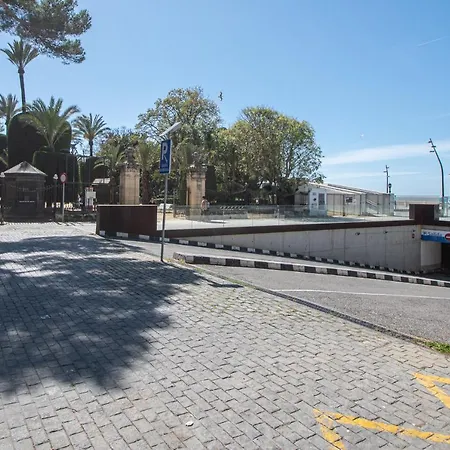 La Araucaria - Cadiz